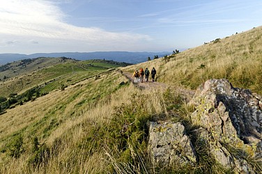 TMV® Vosges Mountains mountain bike trail - Châtenois - Thann