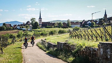 Véloroute du Vignoble d'Alsace