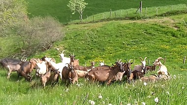 Kirchberg hike: On the ridges of Baerenkopf in Sudel - Circuit 1