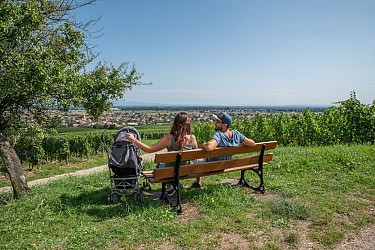 Circuit poussettes : Balade entre vignoble et piémont