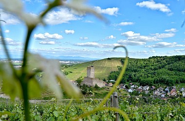 Hiking tour - from Sommerberg to Wineck Castle