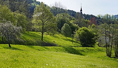 Gilbert's hike H10: Les hauts de Ranrupt