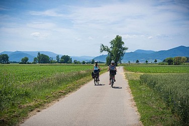 Piste cyclable - Cosswiller / Romanswiller