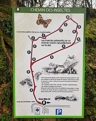 Chemin des insectes
