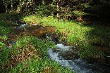 MTB Trail 1 - La Mossig