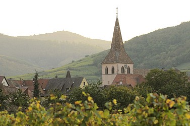BL459 - A ride through the orchards around Colmar
