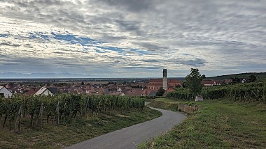 La promenade du Grand Cru Steinert