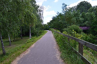 Cycling tour Bacchus through the Vineyards