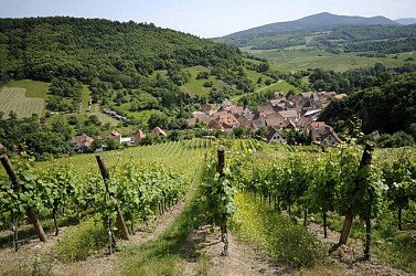 En passant par l'abbaye de Baumgarten
