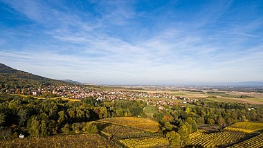 Mountainbike Tour: Piedmont of the Vosges