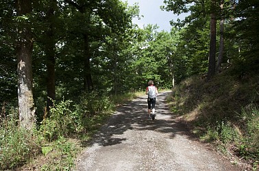 Randonnée - Le Bilstein