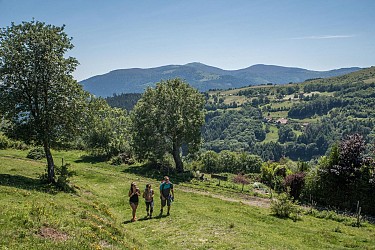 Balade ferme-auberge Hilsen : un panorama sur le Grand Ballon