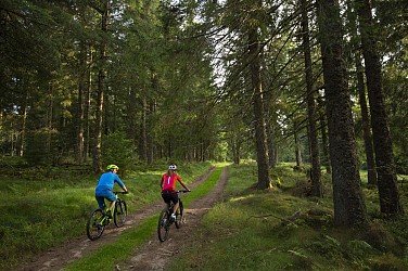 Circuit VTT 8 - le tour de Labaroche