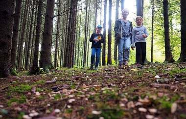Walking tour: the Altenach Trail
