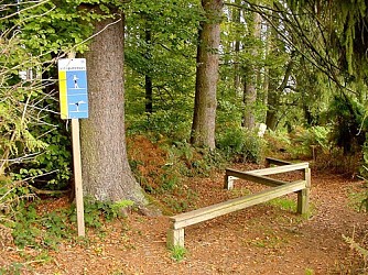 Parcours de santé Forêt du Niederwald