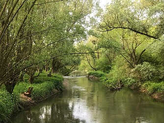 Walking tour: beaver walk