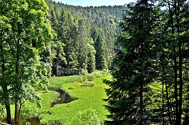 Circuit rando - l'étang du Devin depuis Lapoutroie