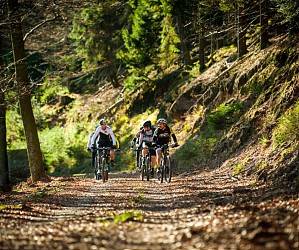 MTB Route 2 - The Wolfsberg