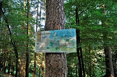 The glassmakers' trail