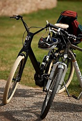 Véloroute du Vignoble