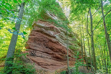 Hiking tour on the heights of Dambach towards Hohenfels