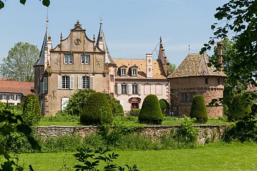 BL677 - Castles and vineyards of the Couronne d’or