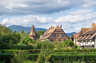 Bike tour: Exploring the lowland