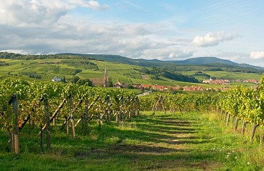 Le sentier des poètes alsaciens de Blienschwiller