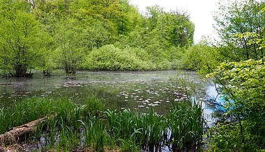 Circuit VTT n°9 : Circuit du Grumbach