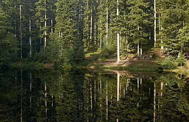 Circuit vélo C18 : Salm et les deux étangs