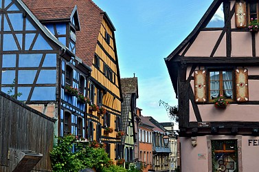 Hiking tour - from Kientzheim to Riquewihr