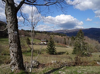 Trail - La roche du renard