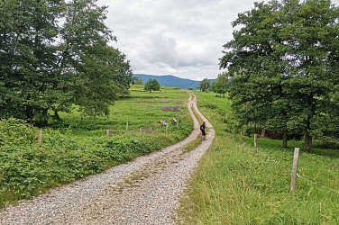 Walk - The Chena tour