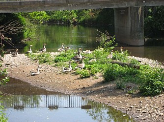 Randonnée Au fil de la Bruche