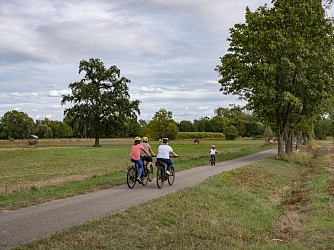 Piste cyclable - Hohengœft / Wasselonne