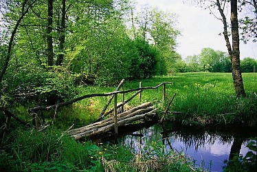 Circuit de la Lutter