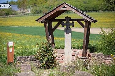 Sentier Colline du Scheuerberg