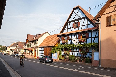 Sentier des saveurs à Mittelhausen