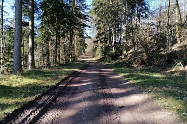 Randonnée - Les hauts de Steige et le Climont