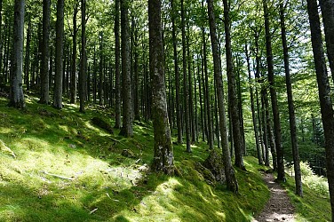 Balade : Les Weierlé