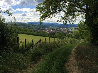 Circuit de la Sommerau - Nordic Walking
