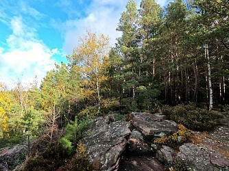 Hiking - The Rocks Trail
