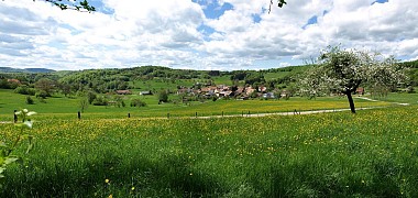 Randonnée pédestre: Bendorf  la grotte du Dr Herrings et le Kastelberg