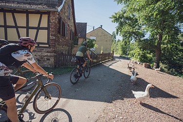 Cycling tour Discover the Villages of the Plain