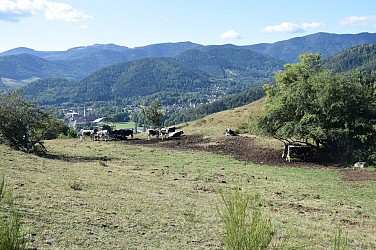 ECOBALADE - Tour du Siebach