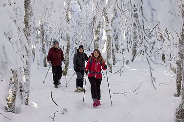 Balade en raquettes au Schnepfenried : Circuit 2 Tour du Schnepfenried