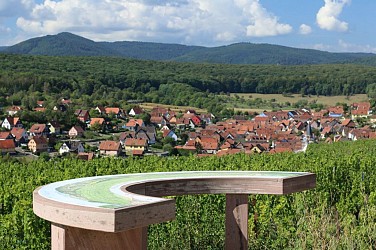 Hiking tour - The Westerberg