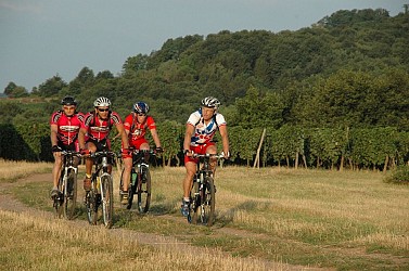 Mountainbike Tour: The vineyard between Cernay and Thann