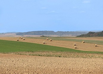 Grand circuit circulaire en plaine