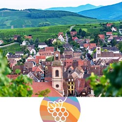 Sentier Géovino - les roches - Riquewihr